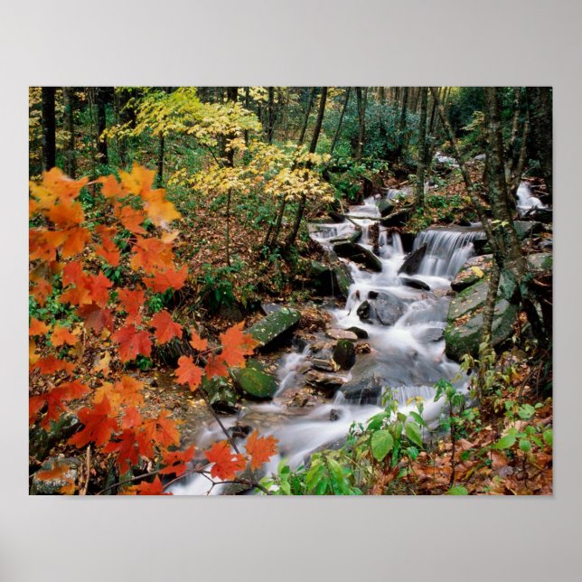 Farfar Poster (Framsidan)