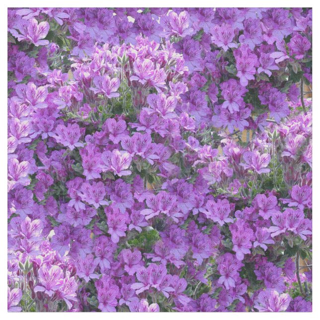 färg 2022 - Violet-Rosa Pelargoniums Tyg (Närbild)