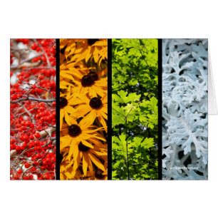 Färg av "Changing Seasons Quadriptych" Hälsningskort