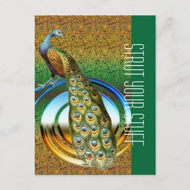 Färg av en husdjur vykort (Framsida)