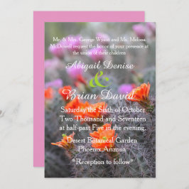 Färg av rosans bakgrund i öknen inbjudningar