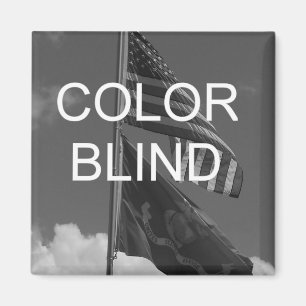 Färg Blind Greyscale Flaggor Magnet