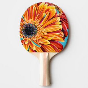 Färg Burks II Pingisracket