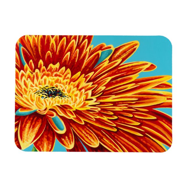 Färg Bursts I Magnet (Horisontell)