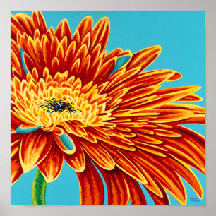 Färg Bursts I Poster