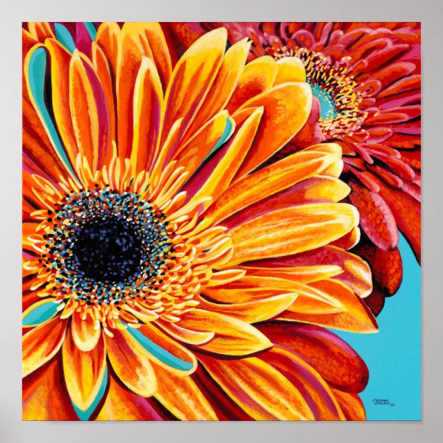 Färg Bursts II Poster (Framsidan)