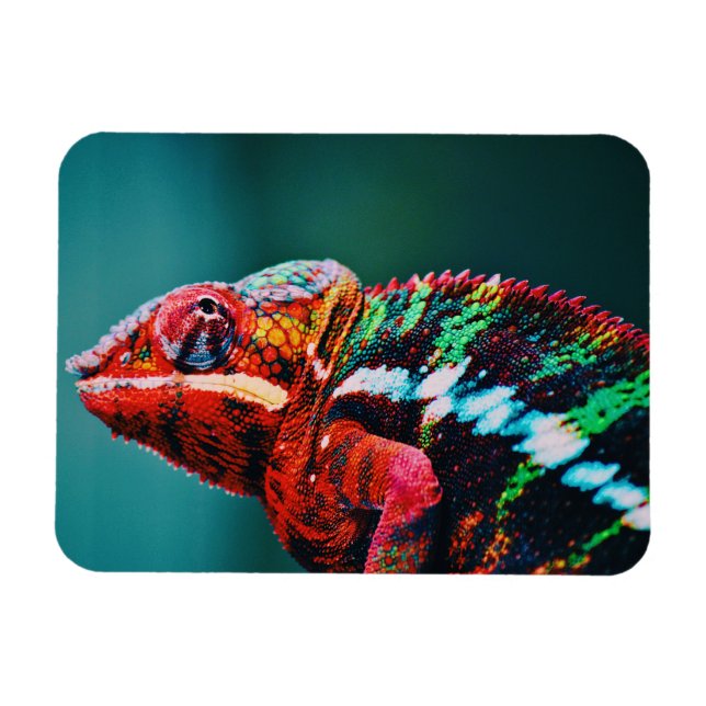 Färg Changing Rainbow Chameleon Reptile Magnet (Horisontell)