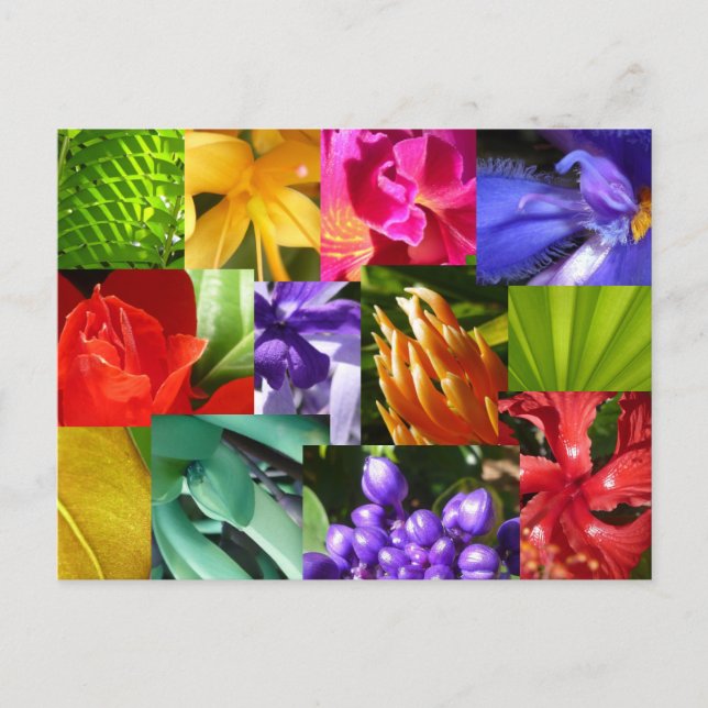 Färg din värld vykort (Framsida)