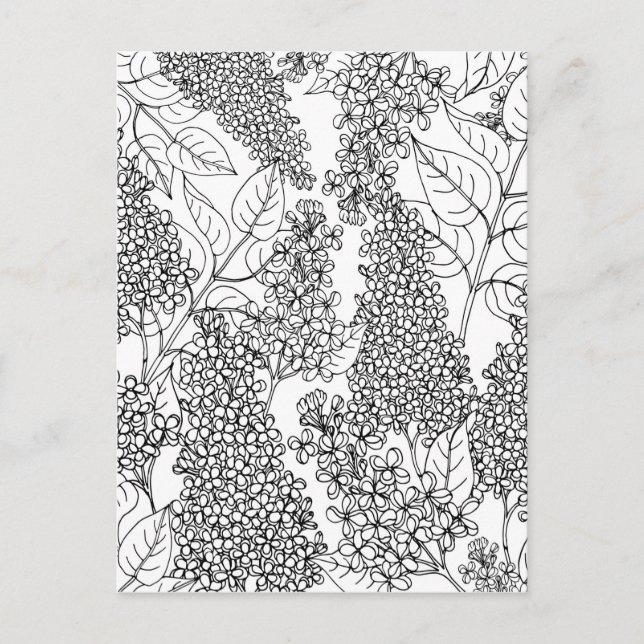 Färg dina egna Lilac Flowers Vykort (Framsida)