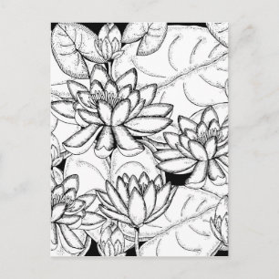 Färg dina egna lotus Flowers Vykort