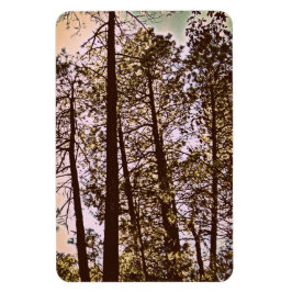 färg efter träd magnet