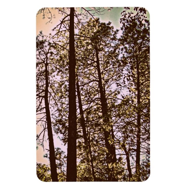 färg efter träd magnet (Vertikal)