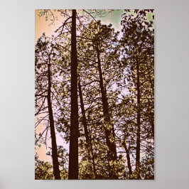färg efter träd poster