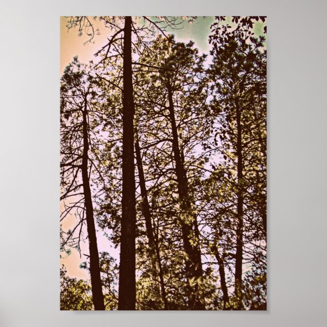 färg efter träd poster (Framsidan)