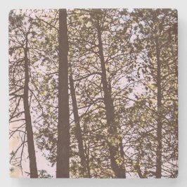 Färg efter träd stenunderlägg