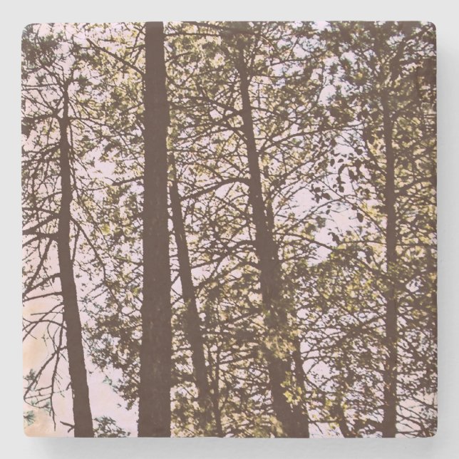 Färg efter träd stenunderlägg (Framsidan)