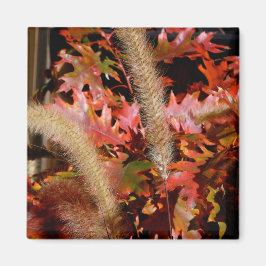 Färg Fall Magnet