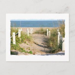 Färg Florida Beach Dune Rope Walk Photo Vykort