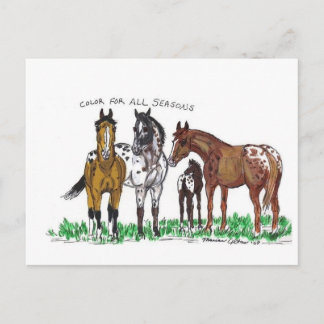 Färg för alla säsonger vykort