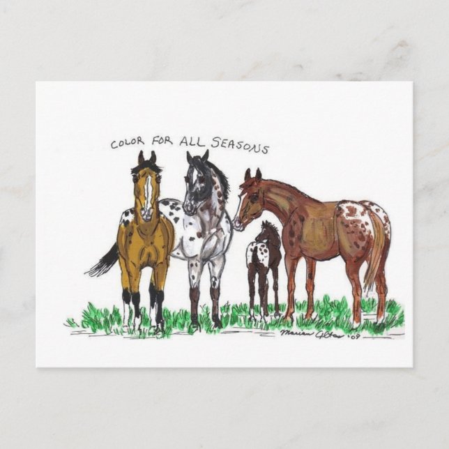 Färg för alla säsonger vykort (Framsida)