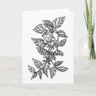 Färg för Campanula (blåklocka) det dig som är tomt Kort