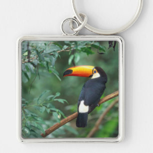 FÄRG FÖR FOTO FÖR TOCO TOUCAN FULL FYRKANTIG SILVERFÄRGAD NYCKELRING