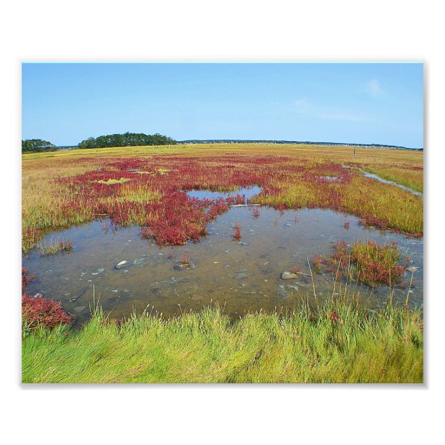 Färg för Marsh Photo Print Fototryck (Framsidan)