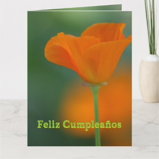 Färg för Tarjeta - Feliz Cumpleaños Todas Lucesen Kort