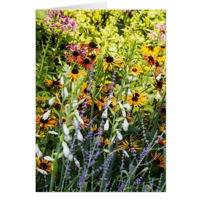 Färg Hälsningskort (Framsidan)