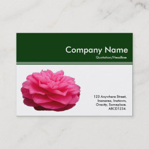 Färg Header III - Rosa Camellia - Mörk grönt Visitkort