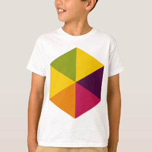 Färg Hexagon 01 Tee