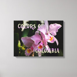 Färg i Colombia Cattleya Orchid Canvastryck