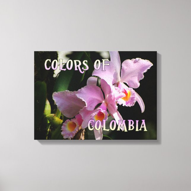Färg i Colombia Cattleya Orchid Canvastryck (Framsida)