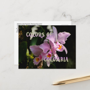 Färg i Colombia Cattleya Orchid Postcard Vykort