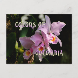 Färg i Colombia Cattleya Orchid Postcard Vykort