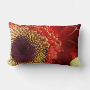 Färg i Gerberas Lumbarkudde
