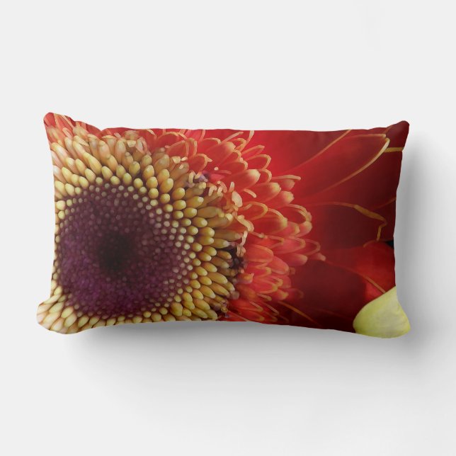 Färg i Gerberas Lumbarkudde (Framsida)