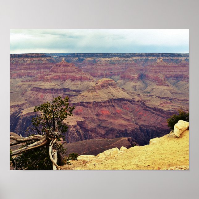 Färg i Grand Canyon Poster (Framsidan)