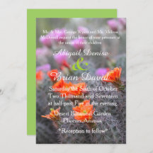 Färg i gröntens bakgrund i öknen