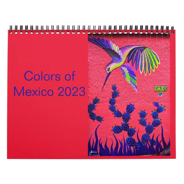 Färg i Oaxaca 2023 Kalender (Omslag)