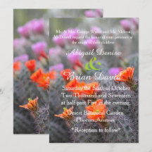 Färg i ökenkaktus blommar bakgrund