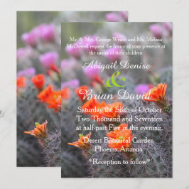 Färg i ökenkaktus blommar bakgrund inbjudningar