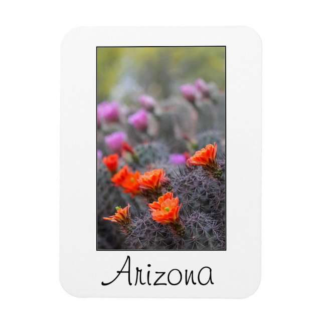 Färg i öknen Arizona Magnet (Vertikal)