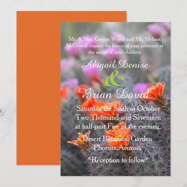 Färg i orangens bakgrund i öknen inbjudningar (Fram/baksida)