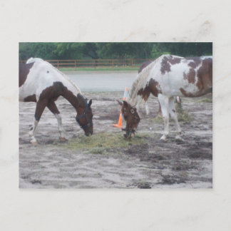 Färg-/inmatningskort Vykort