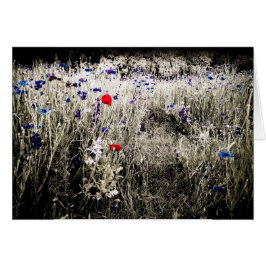 Färg isolerade blommakortet hälsningskort