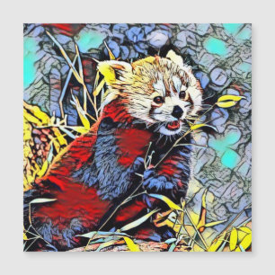 Färg Kick - Red Panda