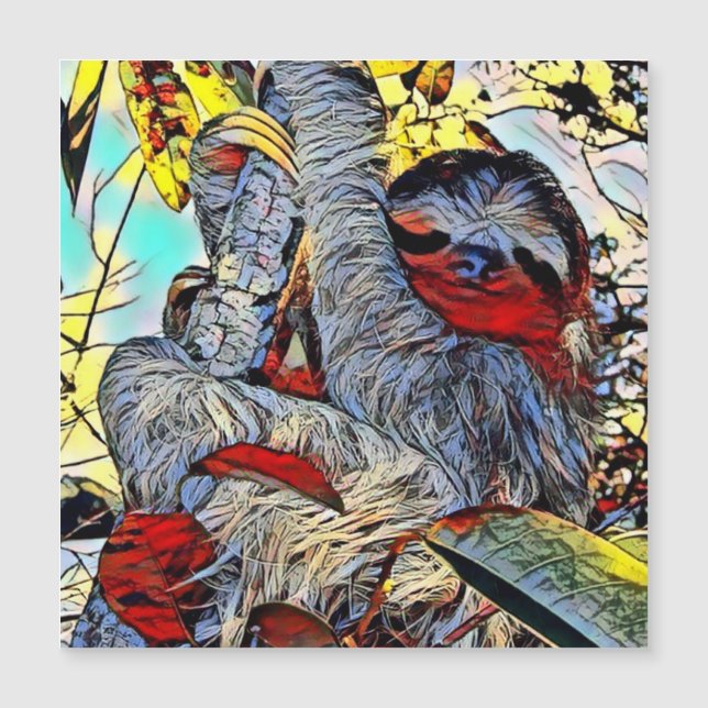 Färg Kick - Sloth (Framsida)