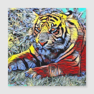 Färg Kick - Tiger 2