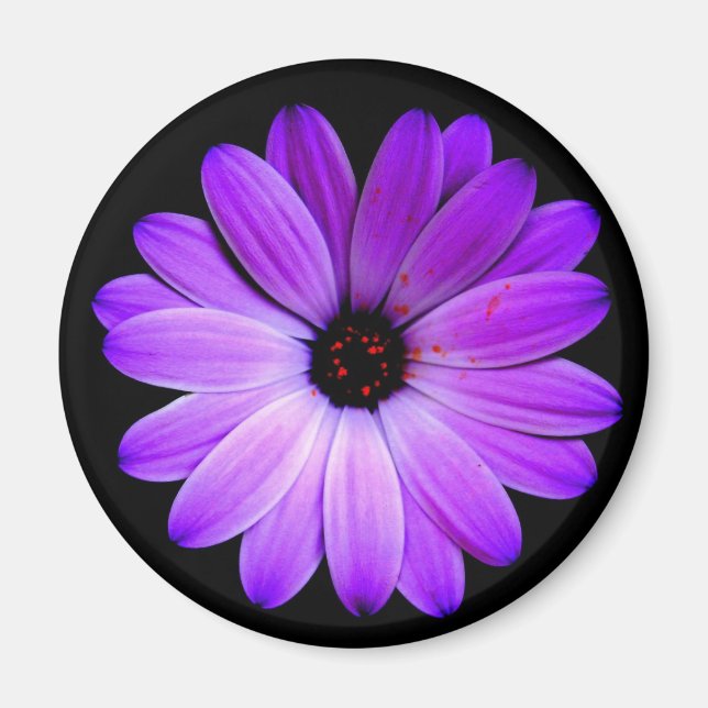 Färg lila. magnet (Framsidan)